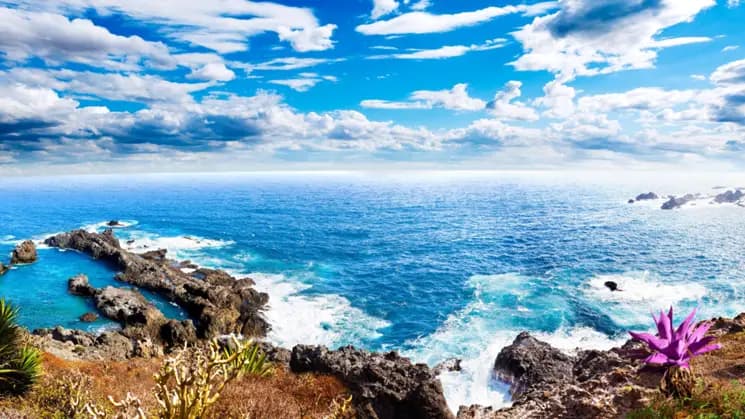 Tenerife, Isla del Océano Atlántico - Imagen 1