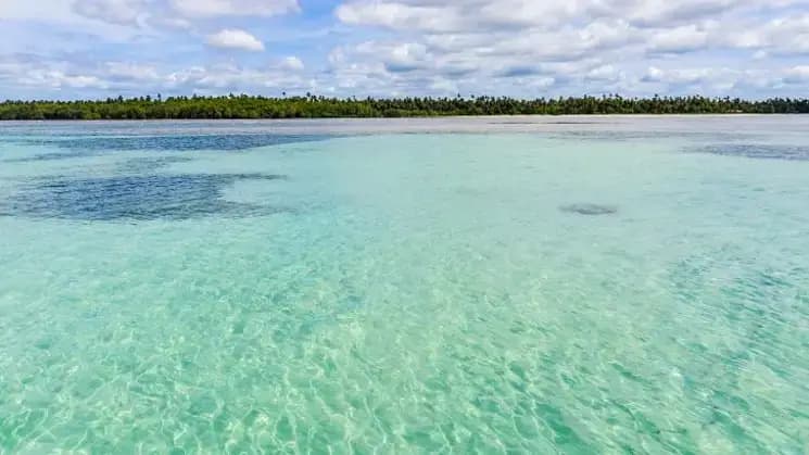 Salvador en Grand Palladium Imbassaí - Nordeste - Imagen 7