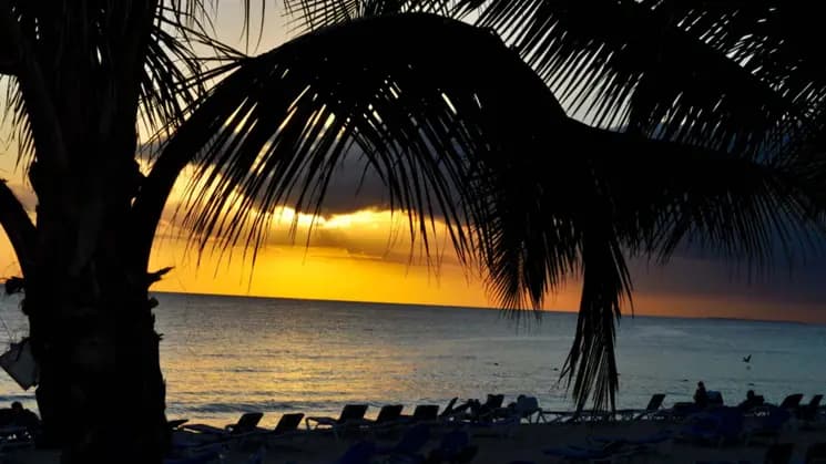 Bayahibe All Inclusive en Hotel Catalonia - Imagen 3